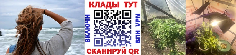 Магазины продажи наркотиков Гдов МАРИХУАНА Кокаин МЕФ