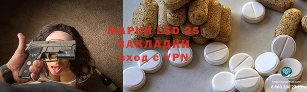 ГАЛЛЮЦИНОГЕННЫЕ ГРИБЫ Баксан