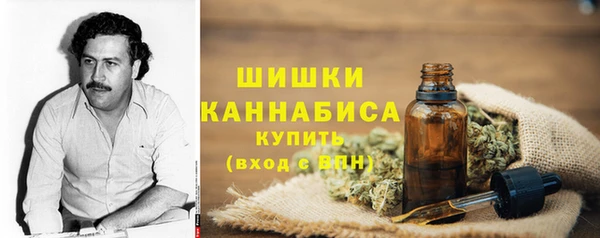 ГАЛЛЮЦИНОГЕННЫЕ ГРИБЫ Баксан
