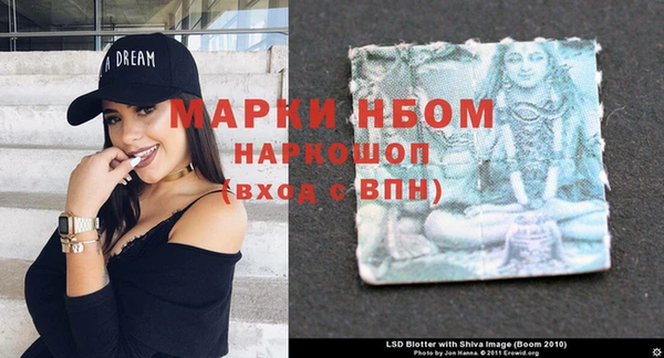 ГАЛЛЮЦИНОГЕННЫЕ ГРИБЫ Баксан