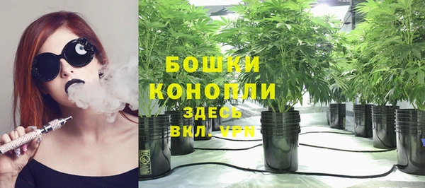 ПСИЛОЦИБИНОВЫЕ ГРИБЫ Балахна