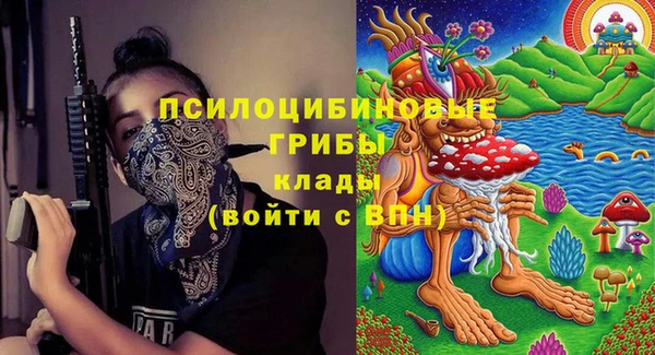 ПСИЛОЦИБИНОВЫЕ ГРИБЫ Балахна
