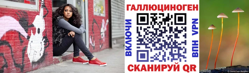 Псилоцибиновые грибы мухоморы  kraken вход  Гдов  цены наркотик 